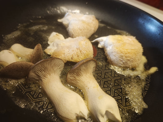 Vi föder upp och dödar djur i fabriker – men svamp känns läskigt?